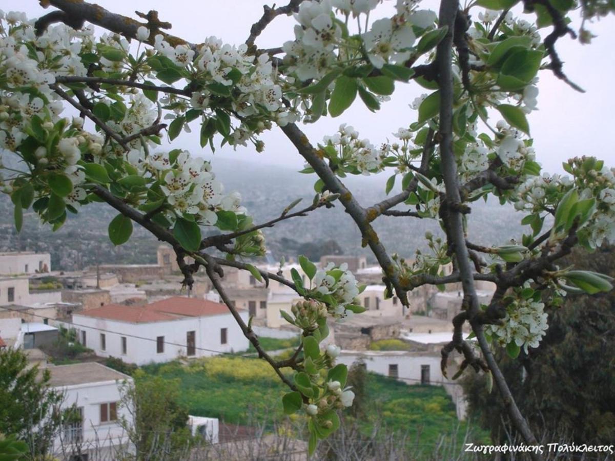 Traditional Cretan House Lithostrati Karidi Village Екстериор снимка