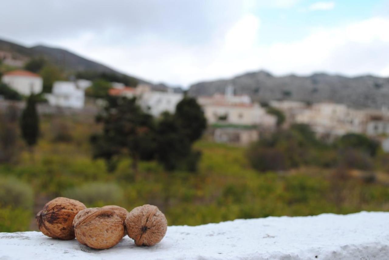 Traditional Cretan House Lithostrati Karidi Village Екстериор снимка