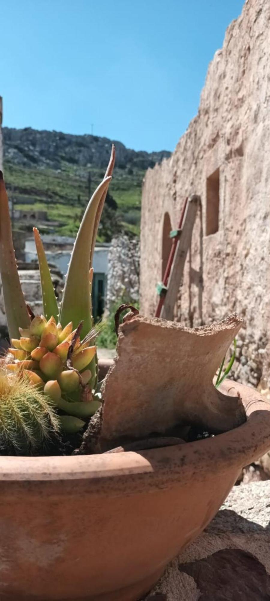 Traditional Cretan House Lithostrati Karidi Village Екстериор снимка